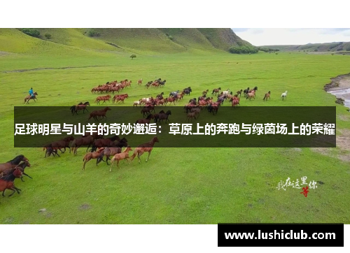 足球明星与山羊的奇妙邂逅：草原上的奔跑与绿茵场上的荣耀