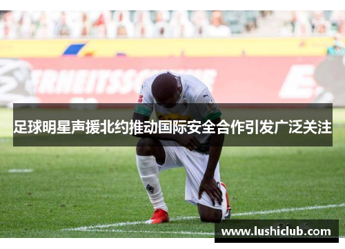足球明星声援北约推动国际安全合作引发广泛关注