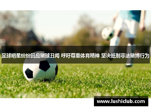 足球明星纷纷回应赌球丑闻 呼吁尊重体育精神 坚决抵制非法赌博行为