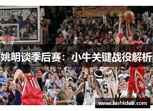 姚明谈季后赛：小牛关键战役解析