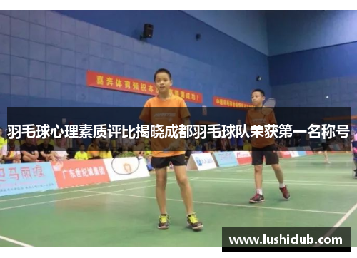 羽毛球心理素质评比揭晓成都羽毛球队荣获第一名称号