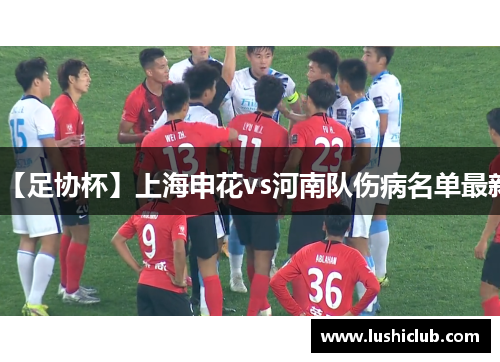 【足协杯】上海申花vs河南队伤病名单最新